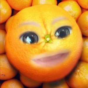 Meet your Posher, Lupe